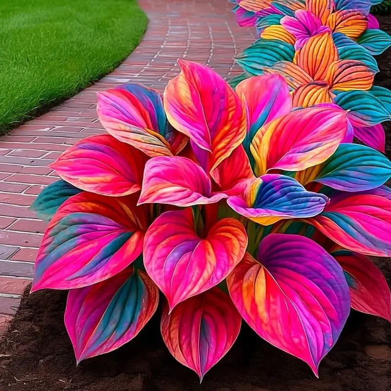/69c37979ff9960000a25dc95/2026/04/14/product-img-69ddedf4f707c0639afa47fb.png