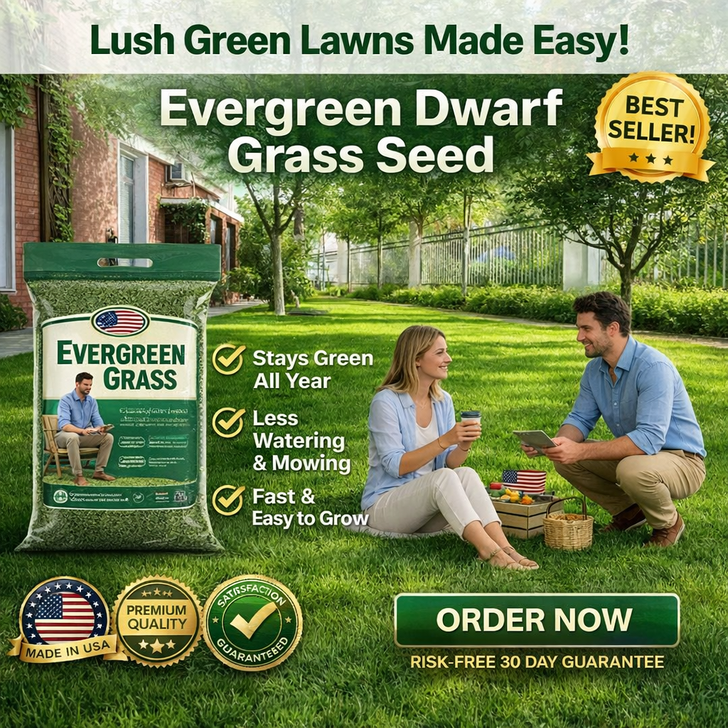 /69c37979ff9960000a25dc95/2026/04/17/product-img-69e21d7dac60d769a9fa1430.png